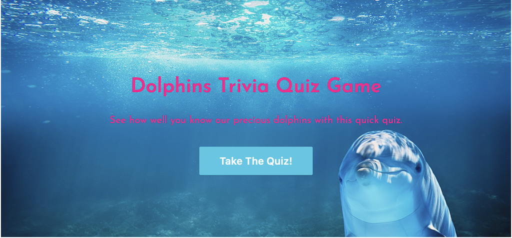 Dolphins Trivia Quiz