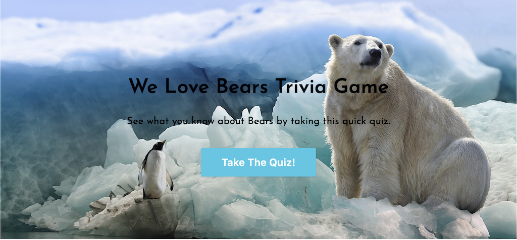 Bears Trivia Quiz